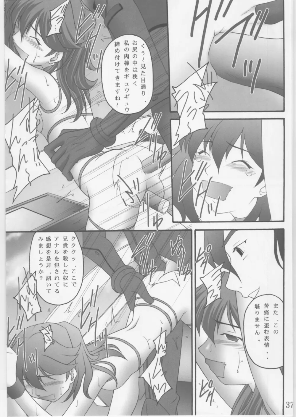 緊縛凌辱Ⅱ ヨウシャネーナ - page36