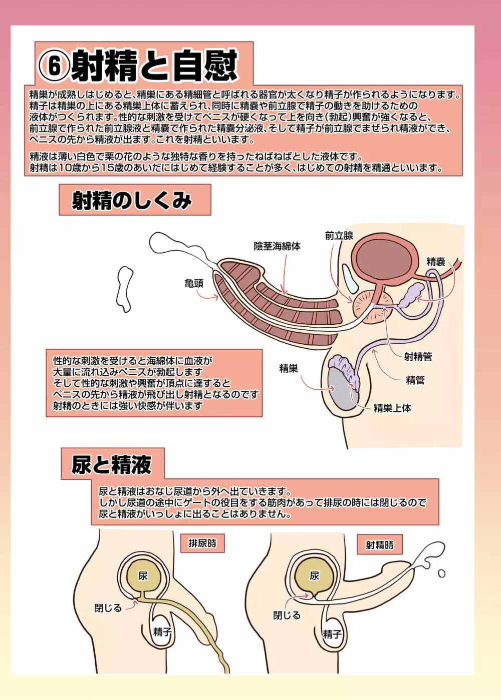 メイドさんと学ぶおんなのこのからだ - page27