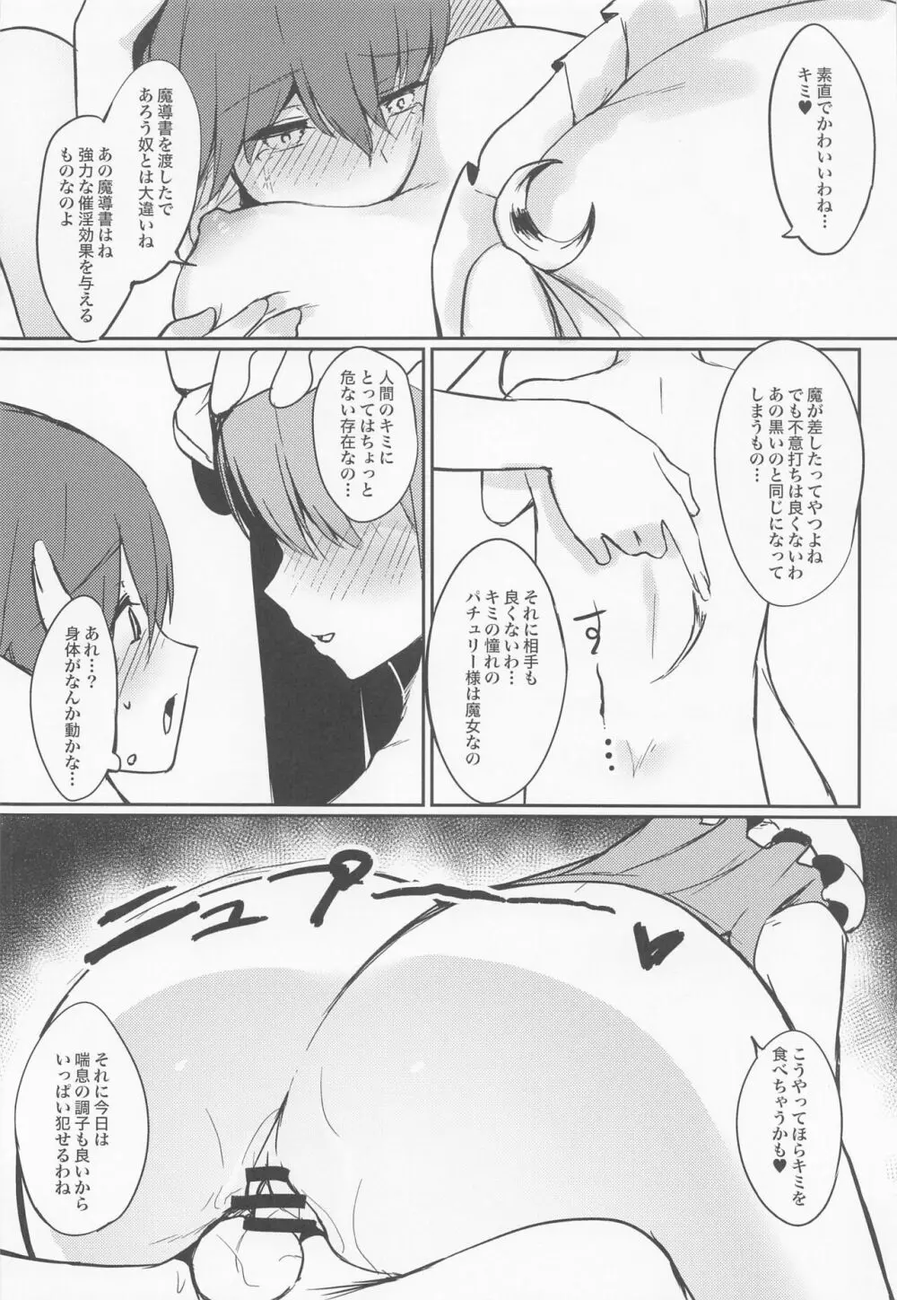 パチュリー様に想いを伝えたら襲われた話 - page13