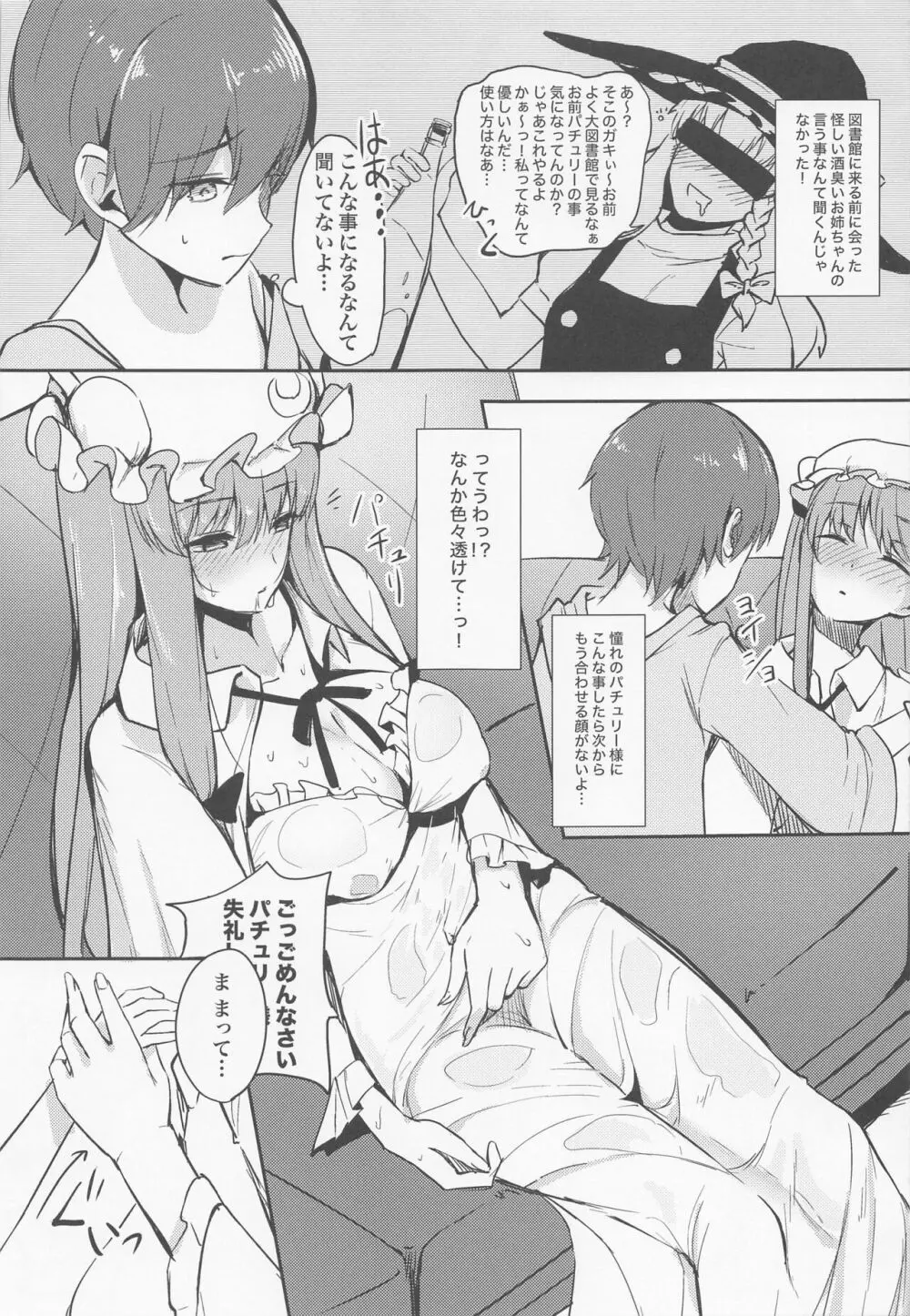 パチュリー様に想いを伝えたら襲われた話 - page6