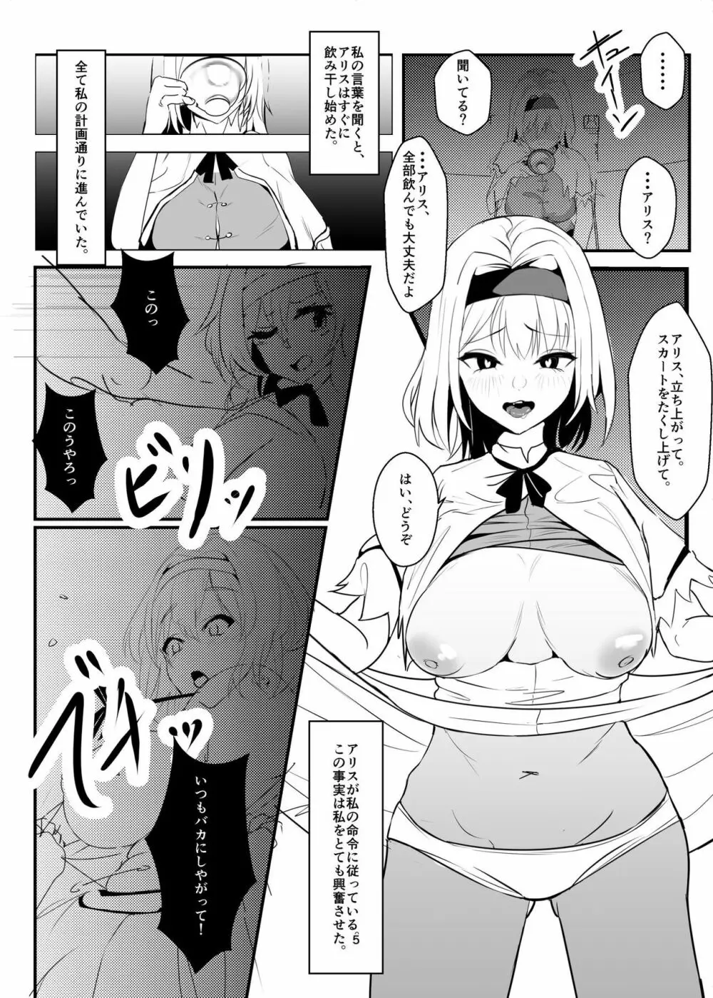 霧雨魔理沙が薬を使って犯したり犯されたりする本 - page5