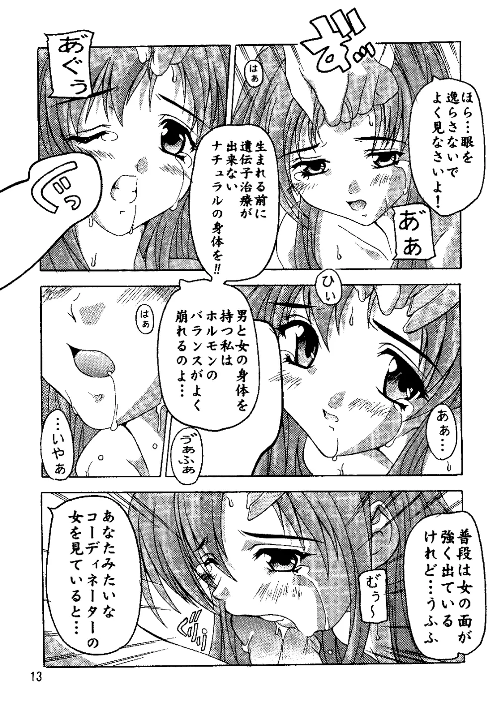 SEED総集編 - page12