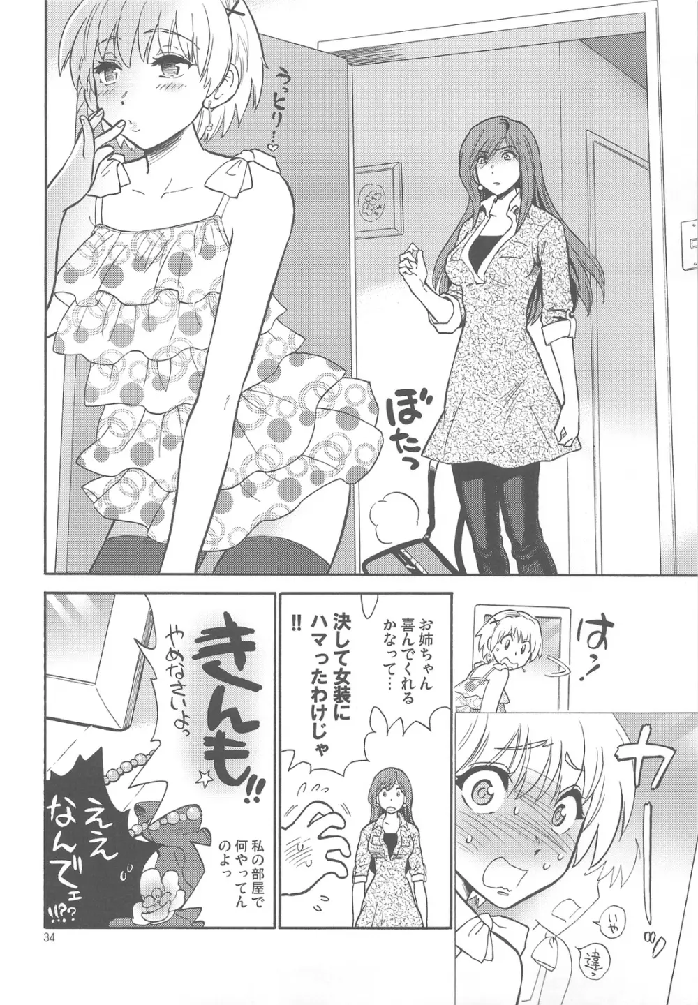 お姉ちゃんが望むなら僕は - page34