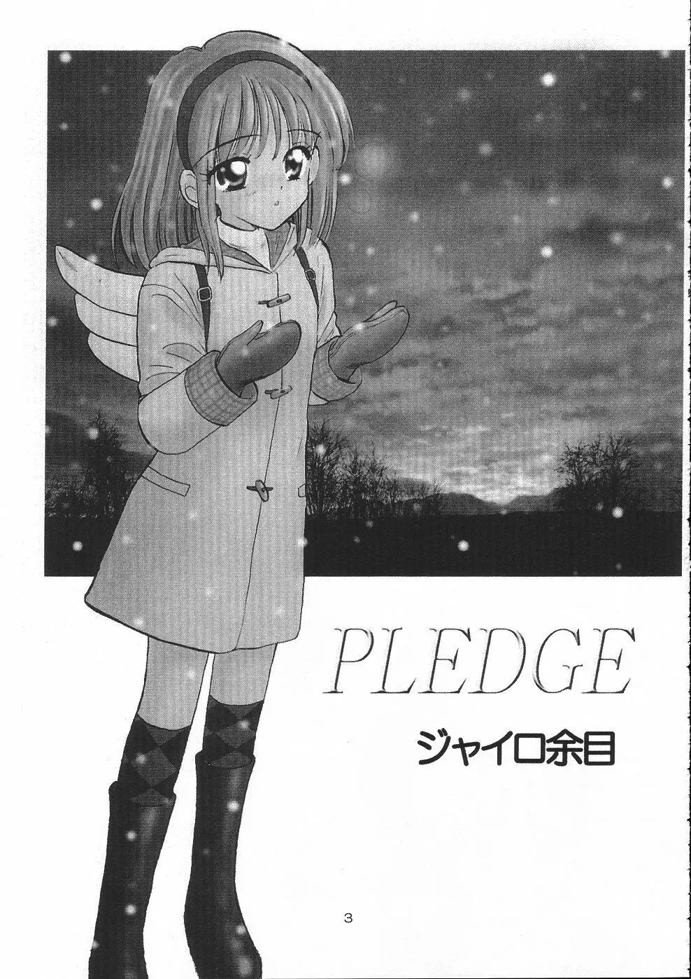 PLEDGE - page2