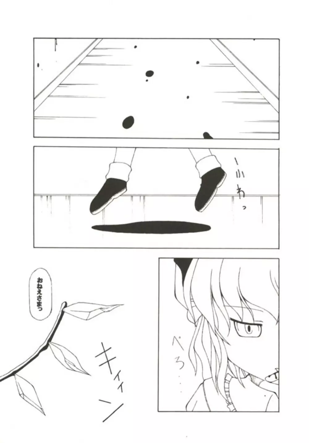 (C67) [NoTurningBack (熊ヰユウスケ) ゲッコウチョウ -月光蝶- (東方Project) - page7