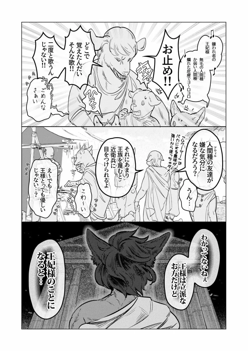 獣人王の愛～傷の王妃は巨狼と番う～ - page6