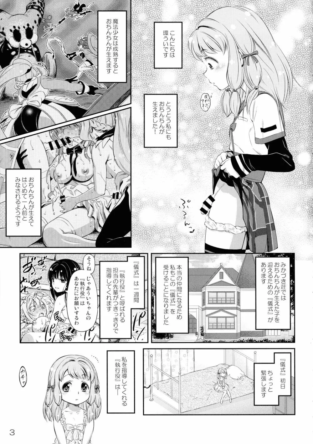 でぃあ♥まいりとるしすたぁ - page2