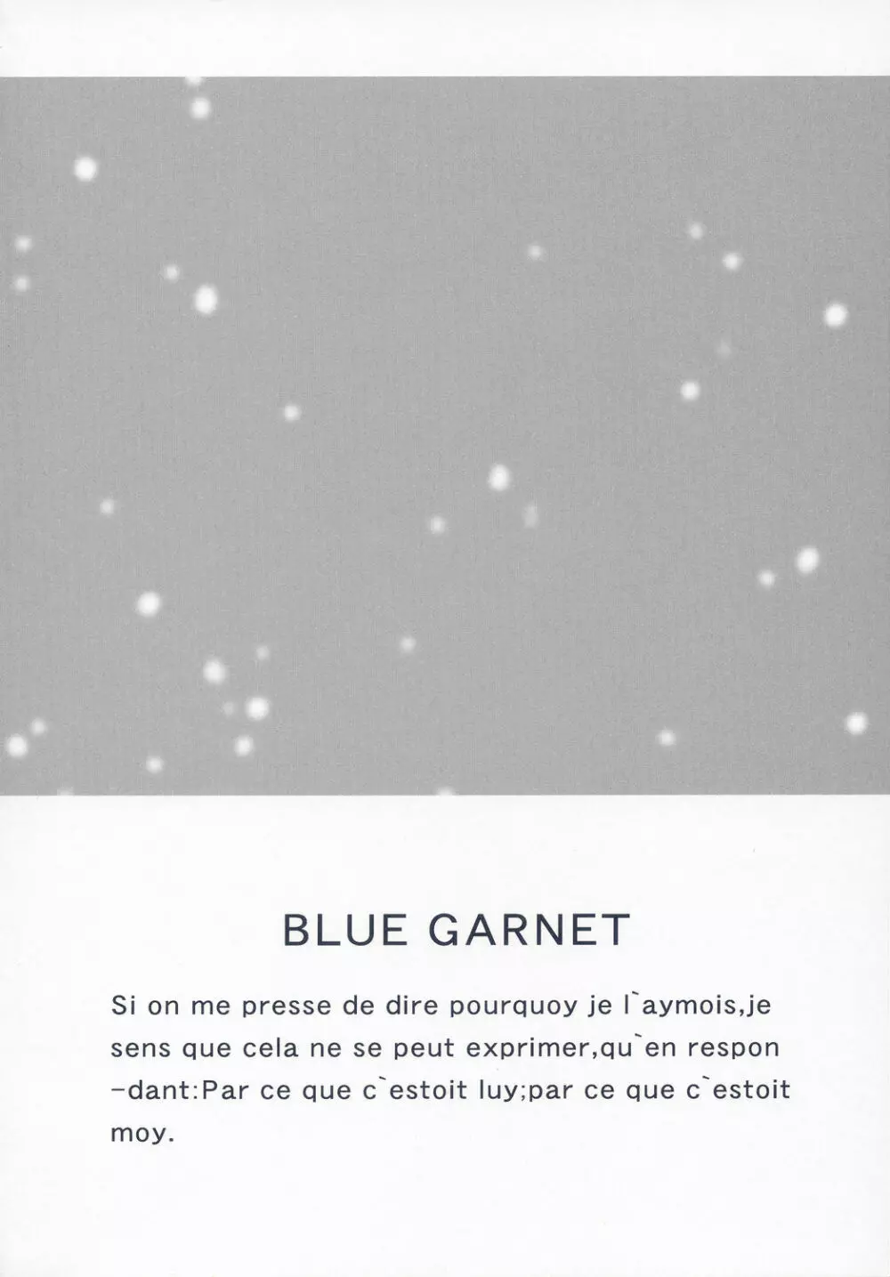 BLUE GARNET XVII - page3