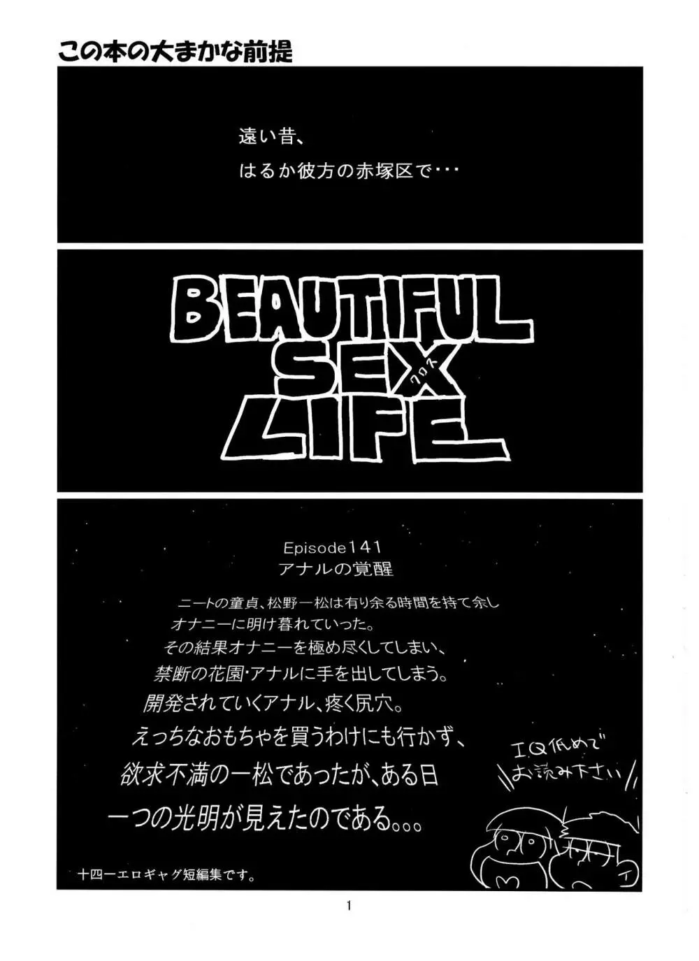 Beautiful Sex Life - page2