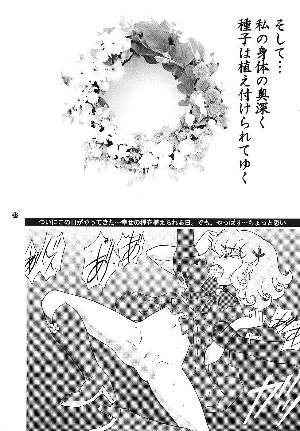 キャラエミュ キャラクターエミュレーションシリーズ 1 MAGICALGIRLS - page21