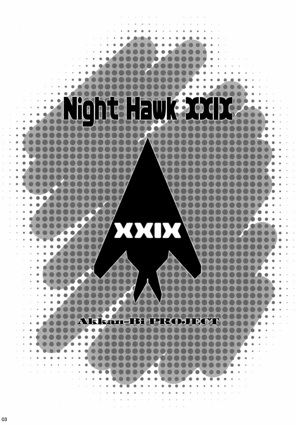 NightHawk XXIX - page2