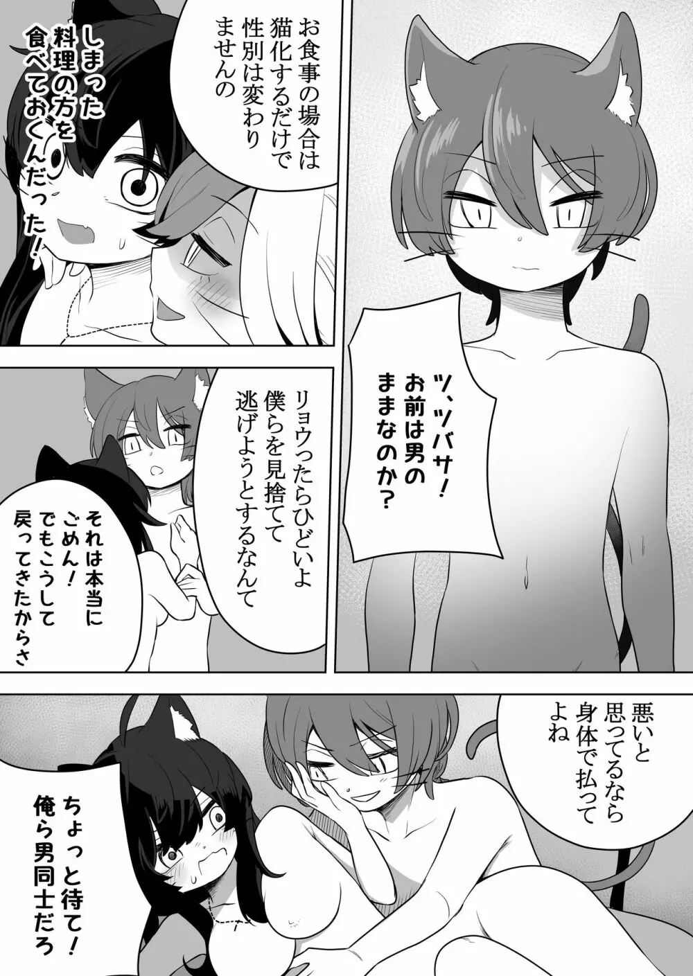 猫岳の怪 - page27