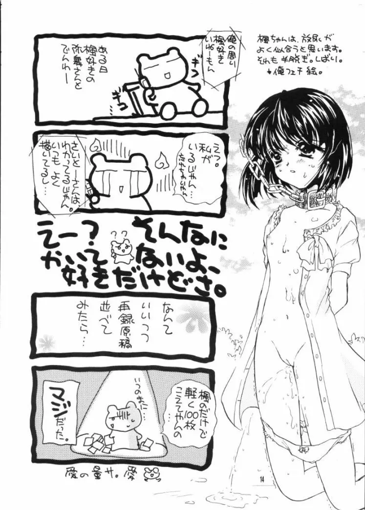 かえでのほん - page13