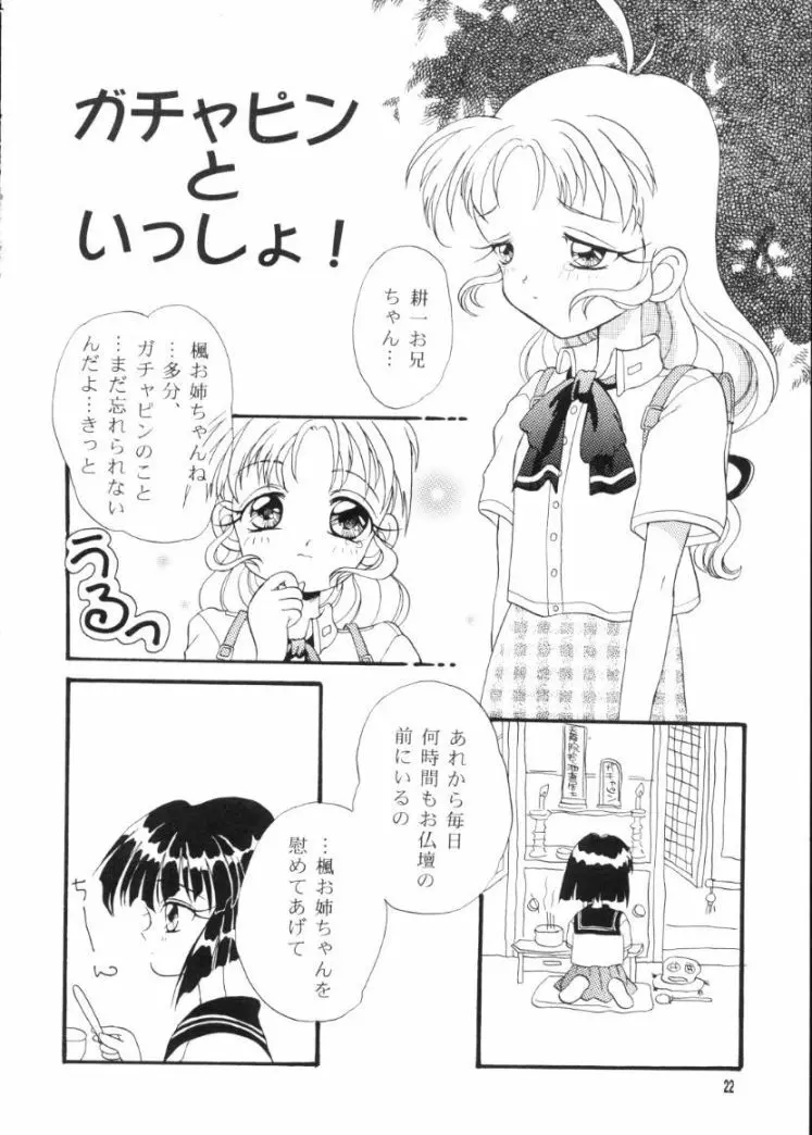 かえでのほん - page21