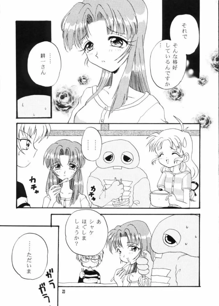 かえでのほん - page22