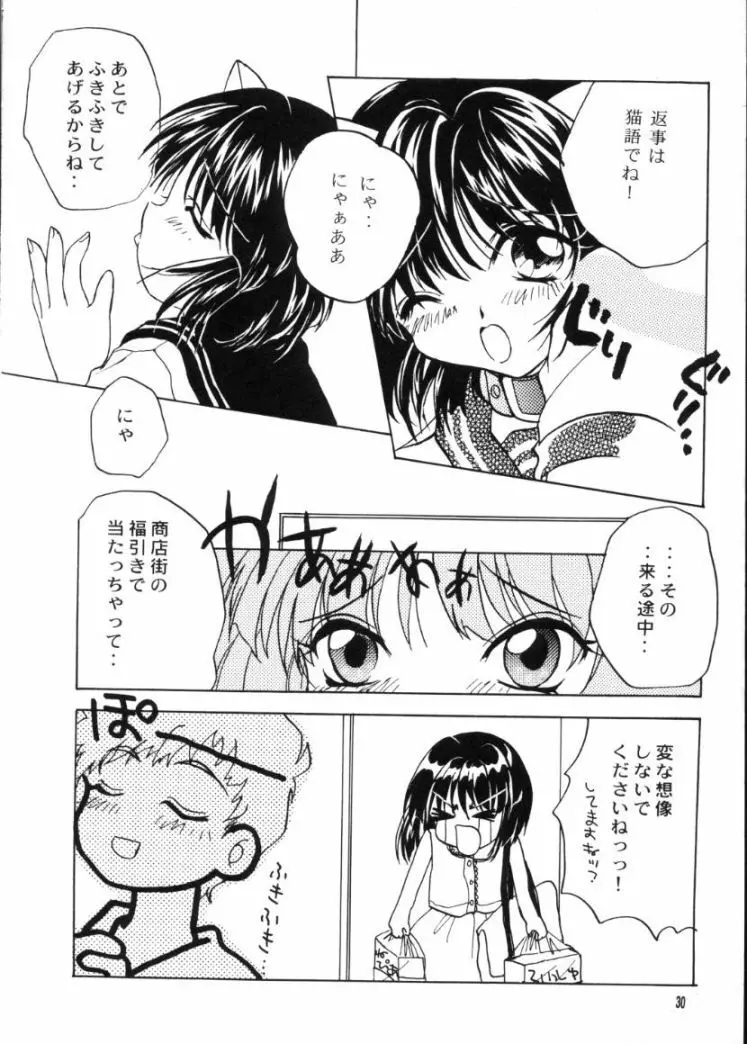 かえでのほん - page29