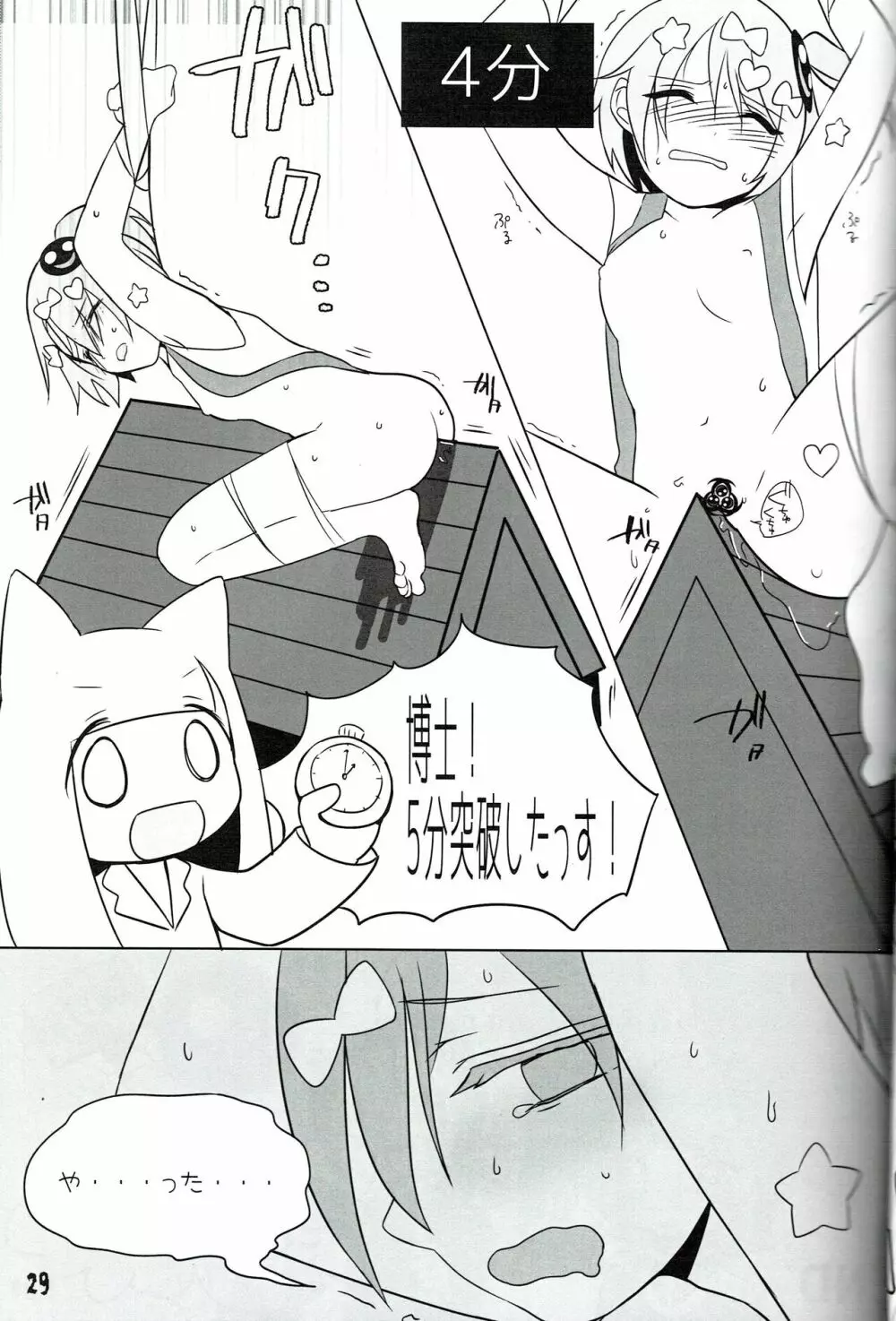 つるぺた研究報告書011 - page29