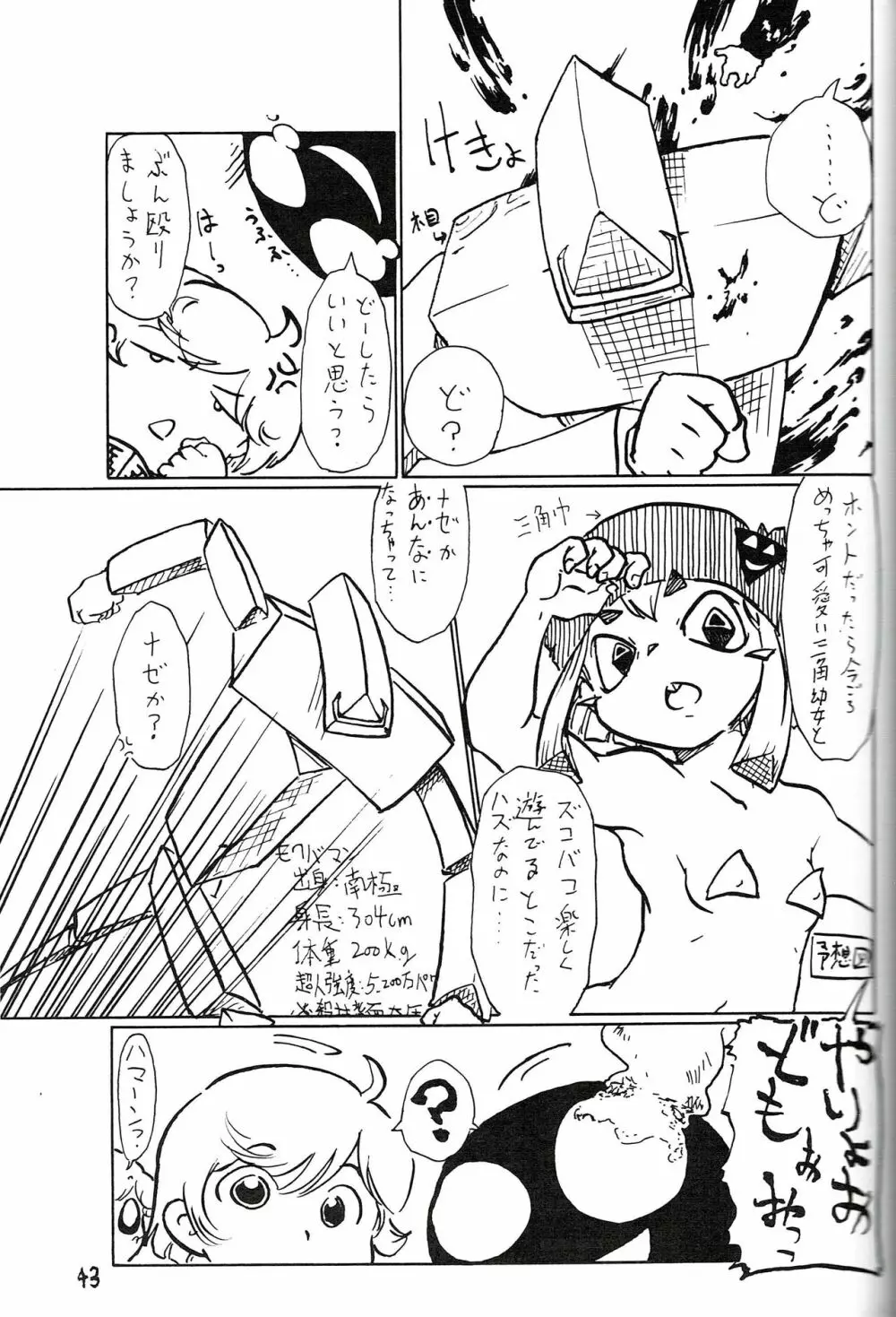 つるぺた研究報告書011 - page43