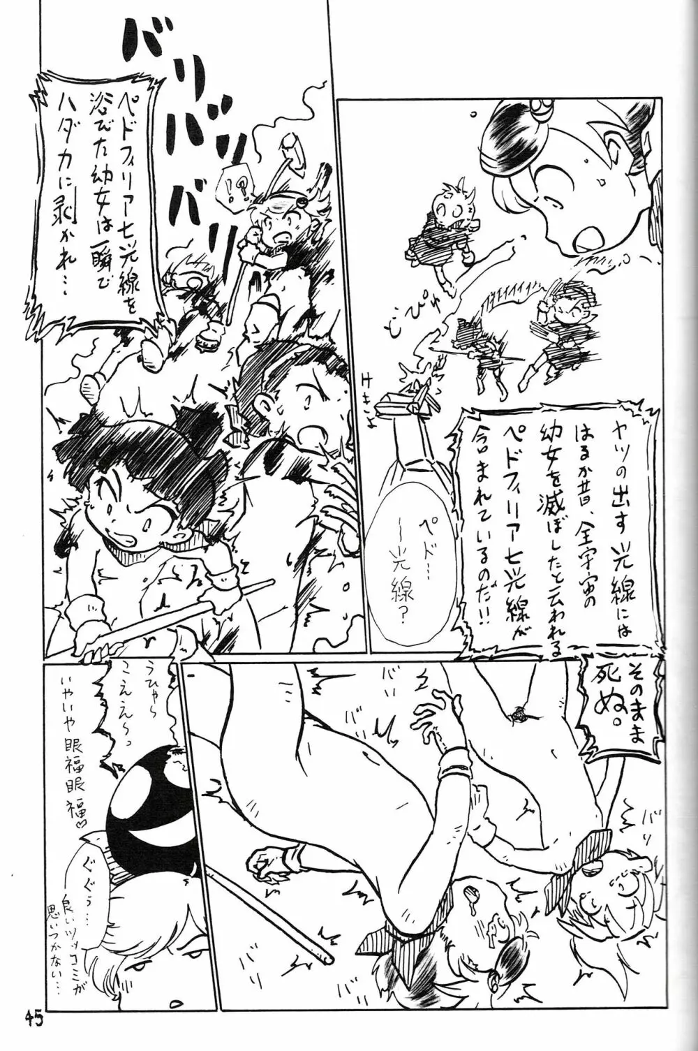 つるぺた研究報告書011 - page45