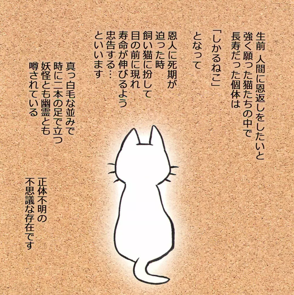 飼い主のテクが凄すぎてしかることができないえっちなねこさん - page10