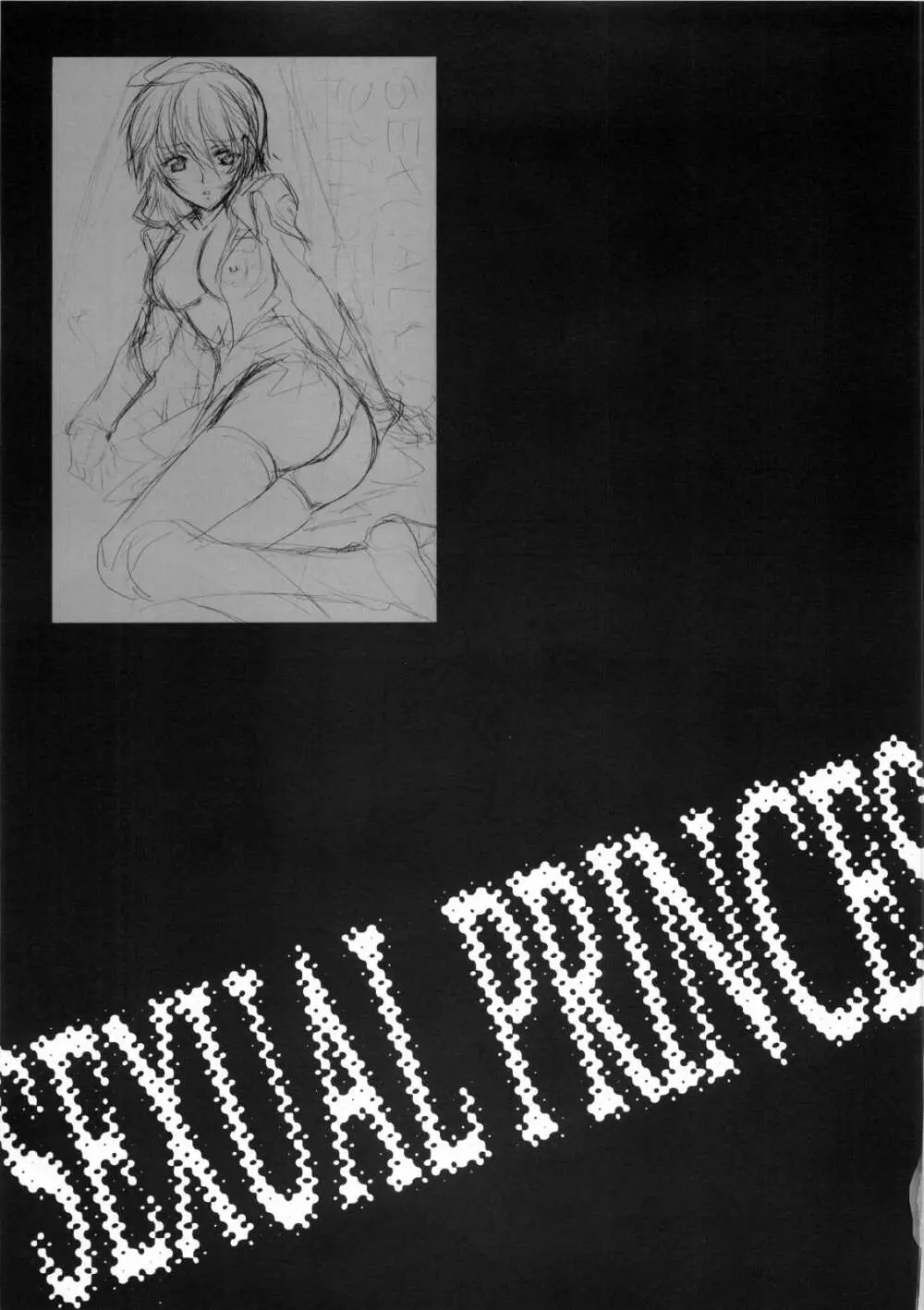 SexualPrincess -セクシャルプリンセス- - page22