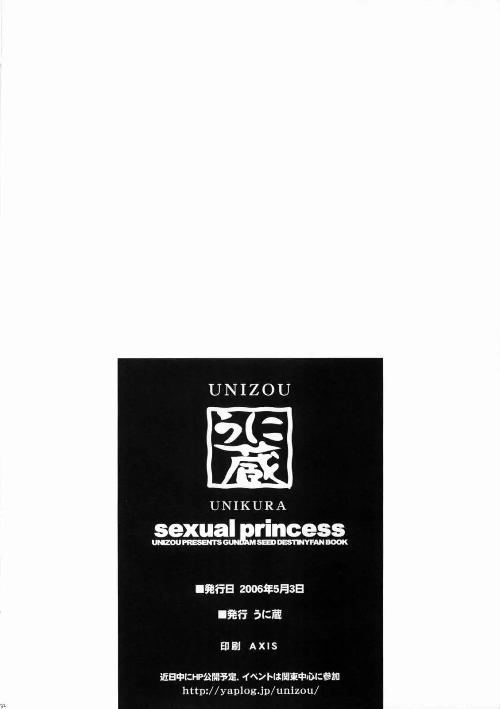 SexualPrincess -セクシャルプリンセス- - page29