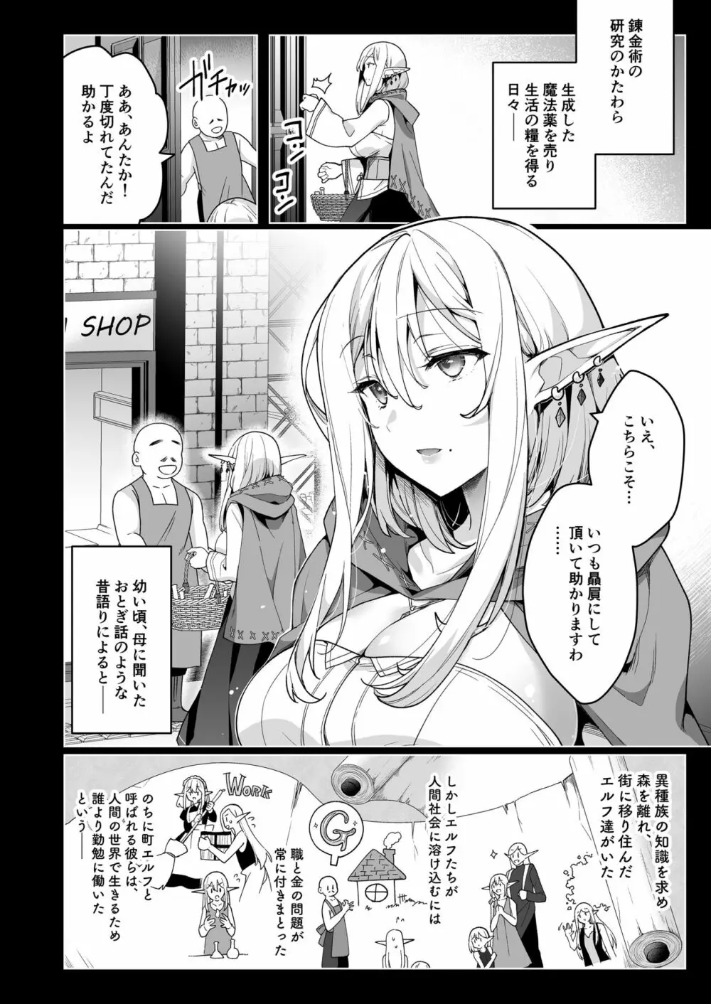 エルフに淫紋を付ける本 LEVEL:6 - page3