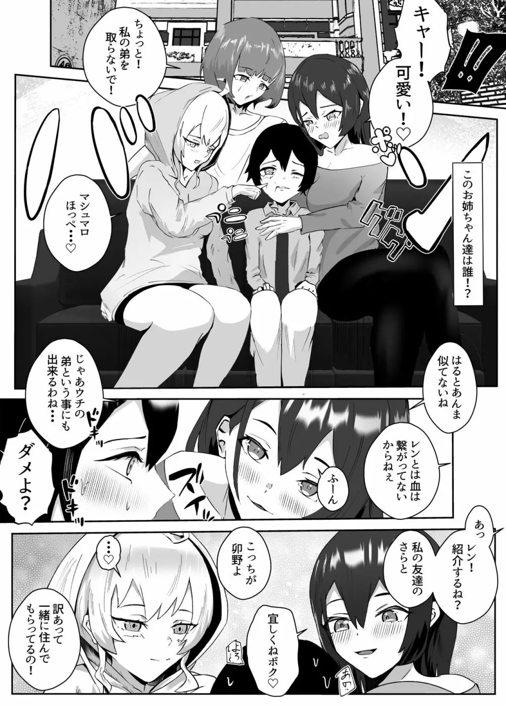 姉宅ハーレム_お姉ちゃんに会いに来ただけなのに・・・ - page4