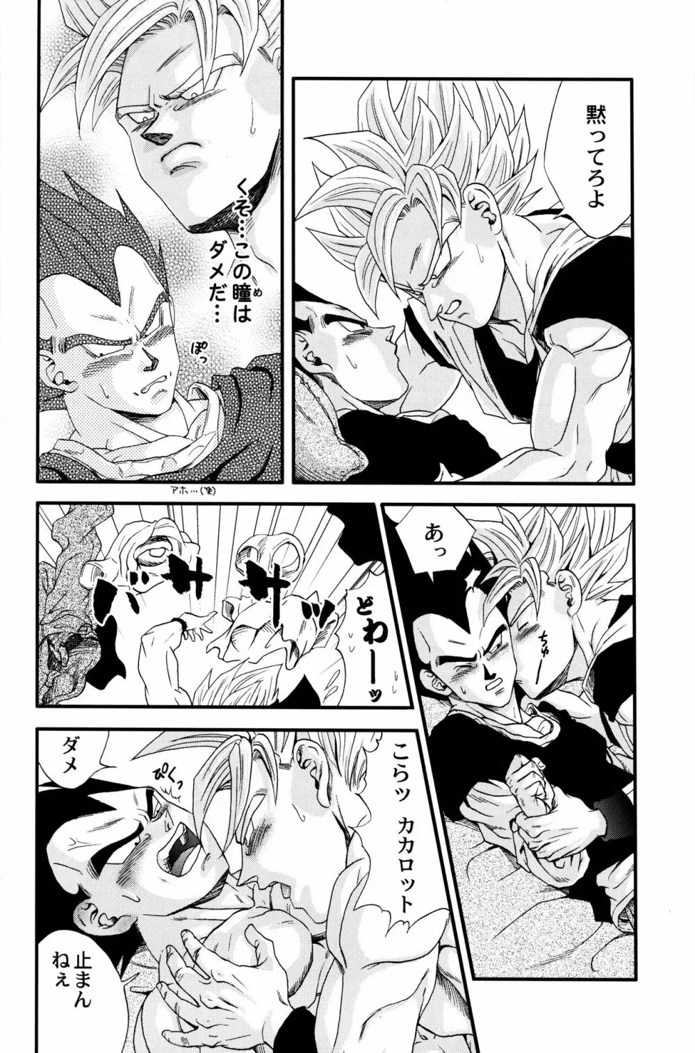 Dragonball Fan Book SPECIAL - page13