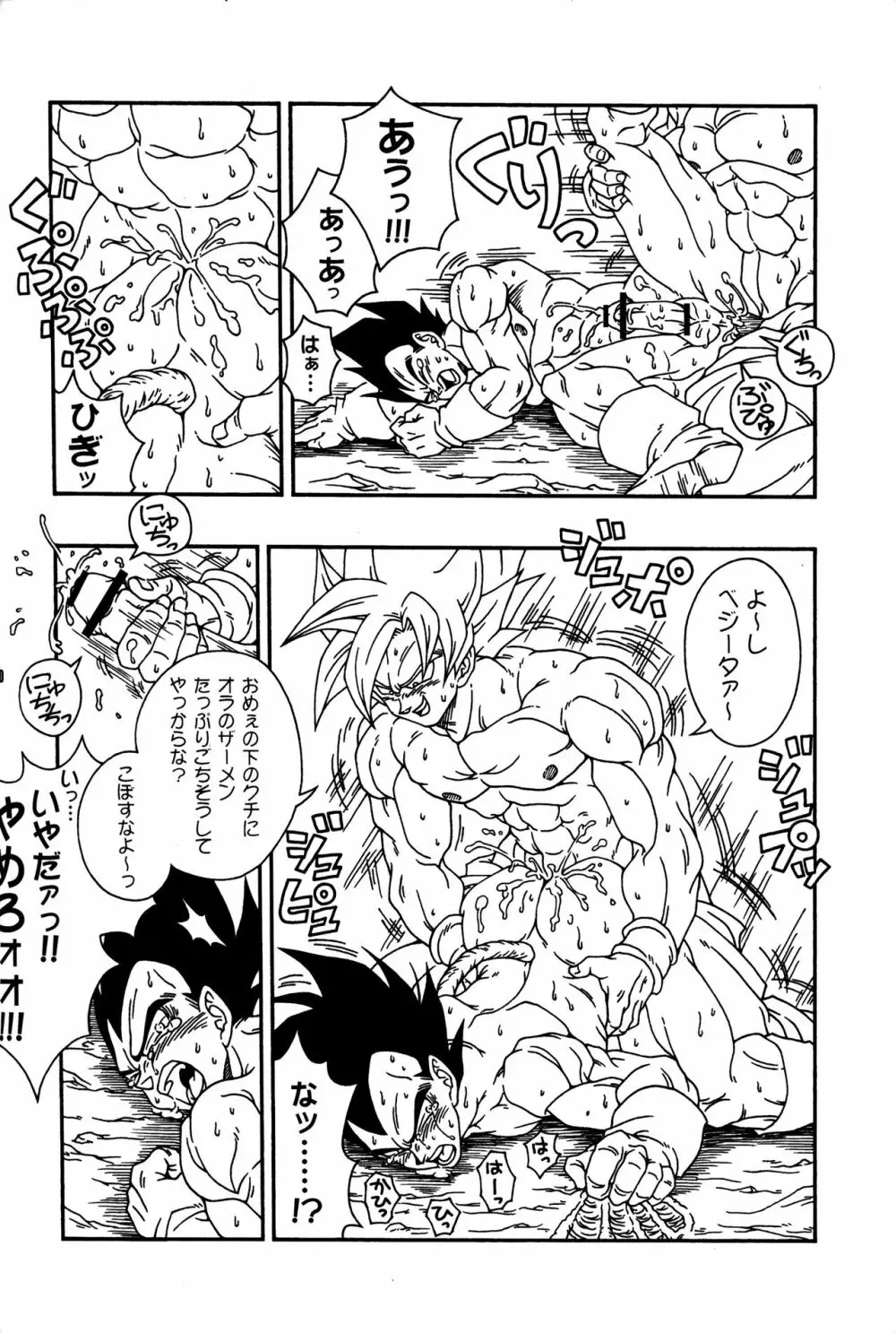 Dragonball Fan Book SPECIAL - page27