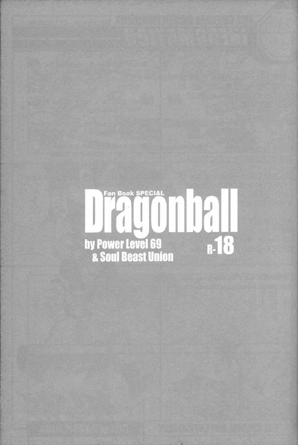 Dragonball Fan Book SPECIAL - page4