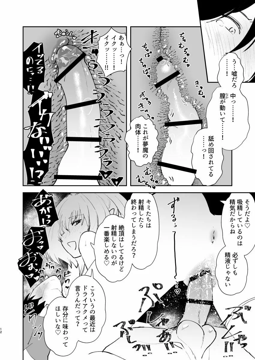 地球最後のサキュバスがカルデアでやらかす本 - page11