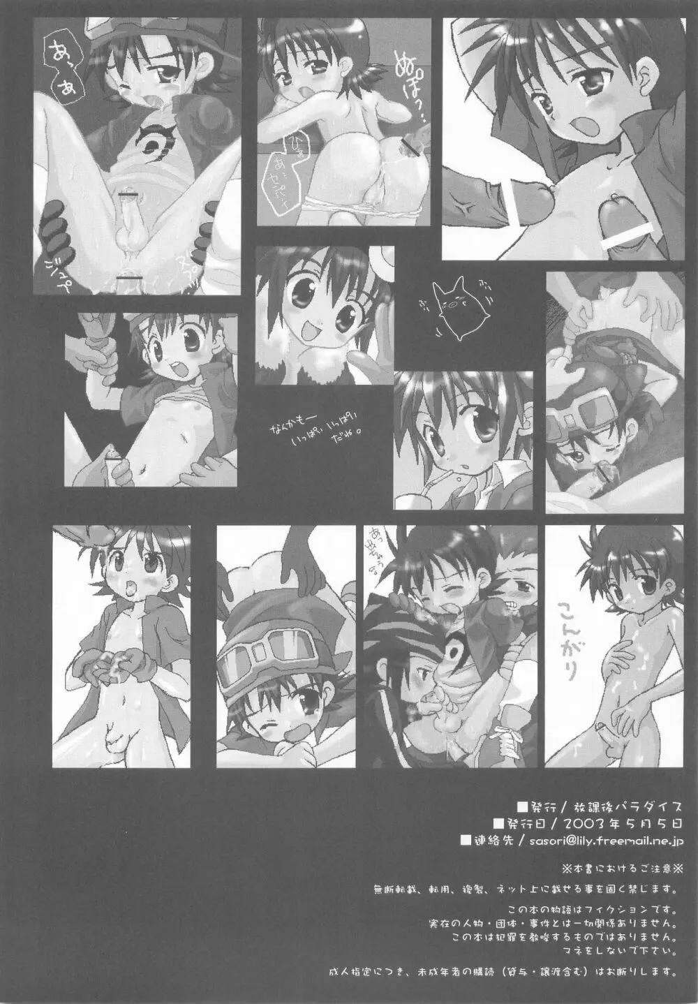 DIGIMON ADVENTURE ALL SERIES HEROES - page17