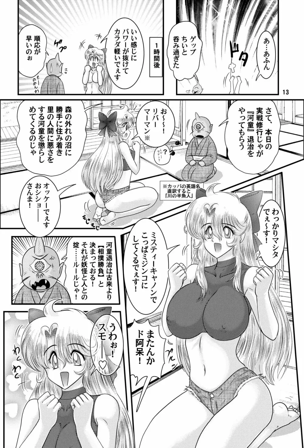 フェアリィセイバー VOL6 - page13