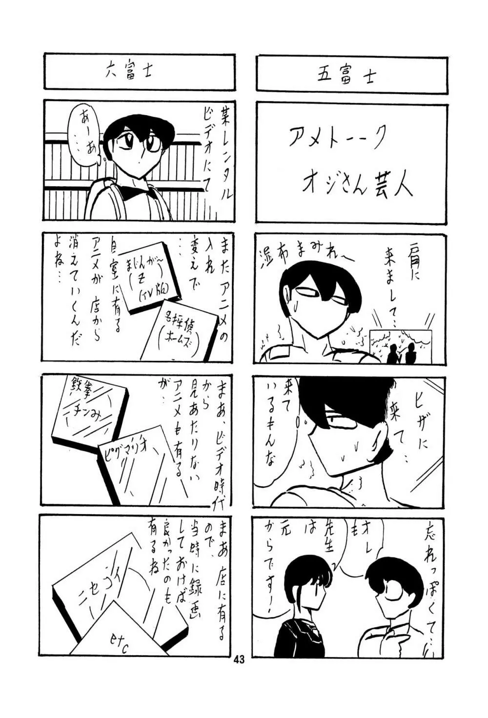 フェアリィセイバー VOL6 - page43