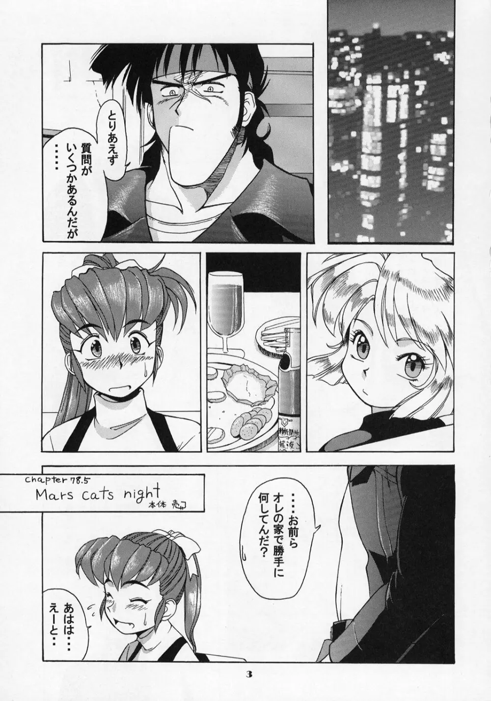 ガンスミ本 - page2