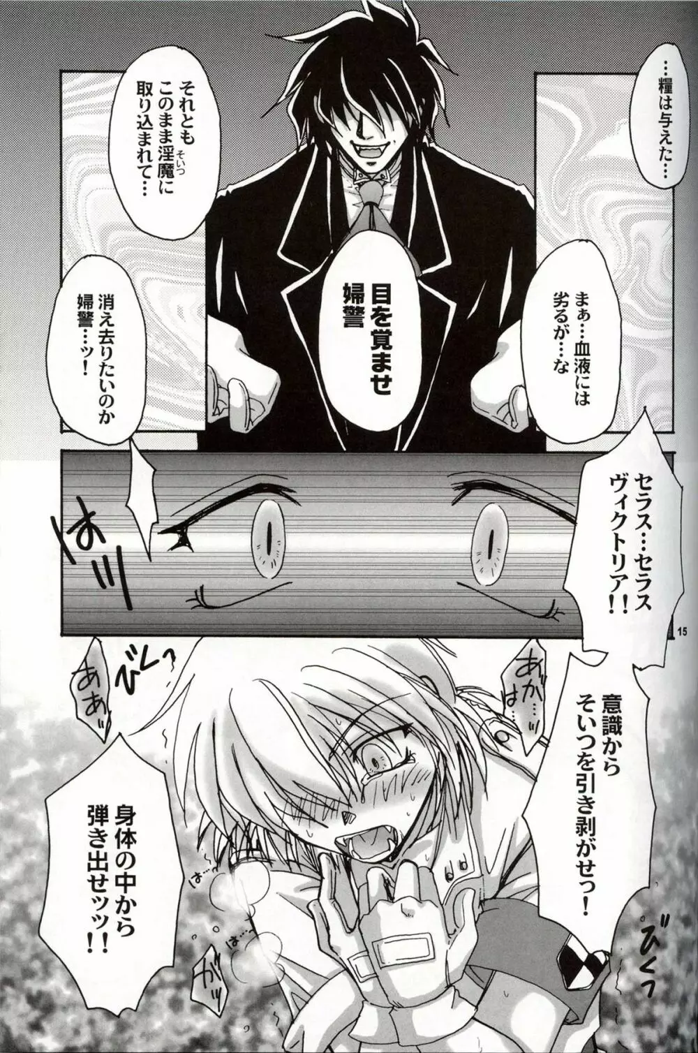 (C63) [ねこや楽器店+Brough-Superior (辻崎そう)] DAYDREAM, NIGHTMARE -NIGHT-SIDE- (ヘルシング) - page14