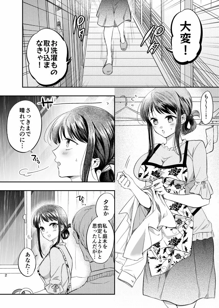 淫蕩リフォーム〜白昼の寝取られ美人妻〜 - page3