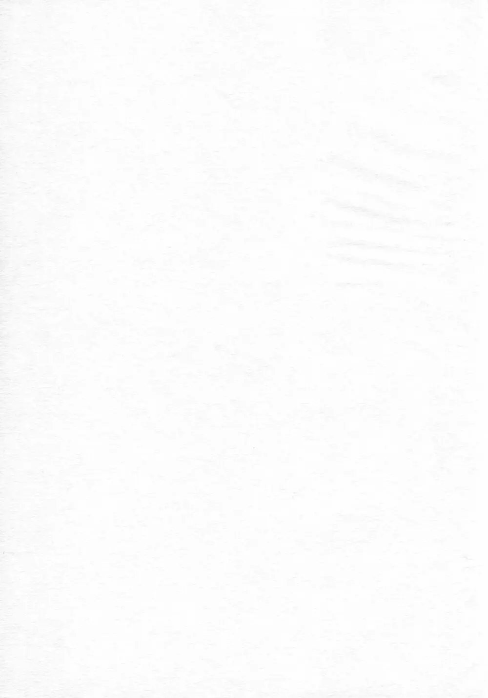(リリカルマジカル11) [しんぷるくらす (しのづき巧)] off-White[0] 後編 (魔法少女リリカルなのは) - page3