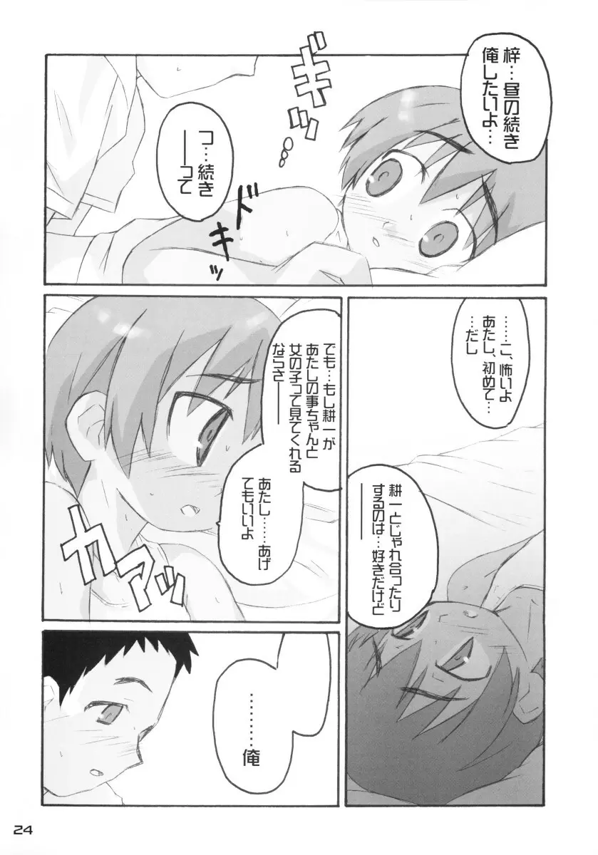 きずていぷ - page24