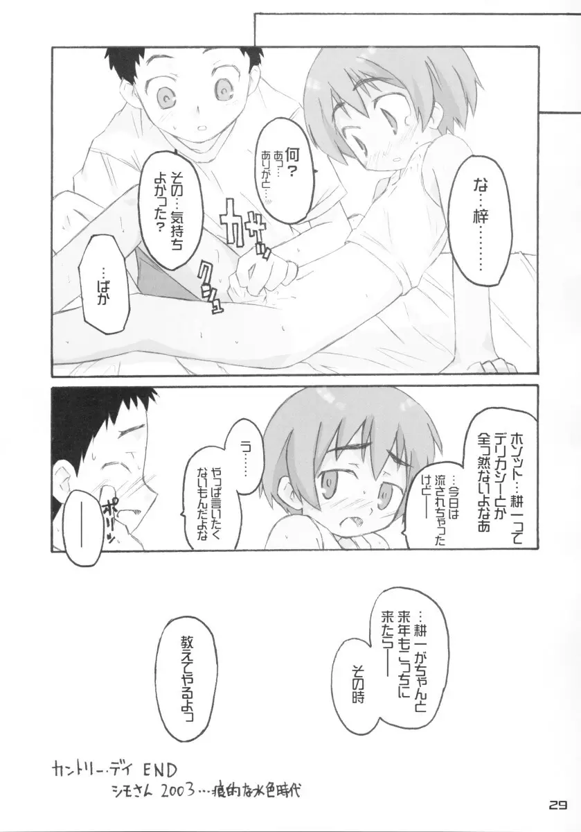 きずていぷ - page29