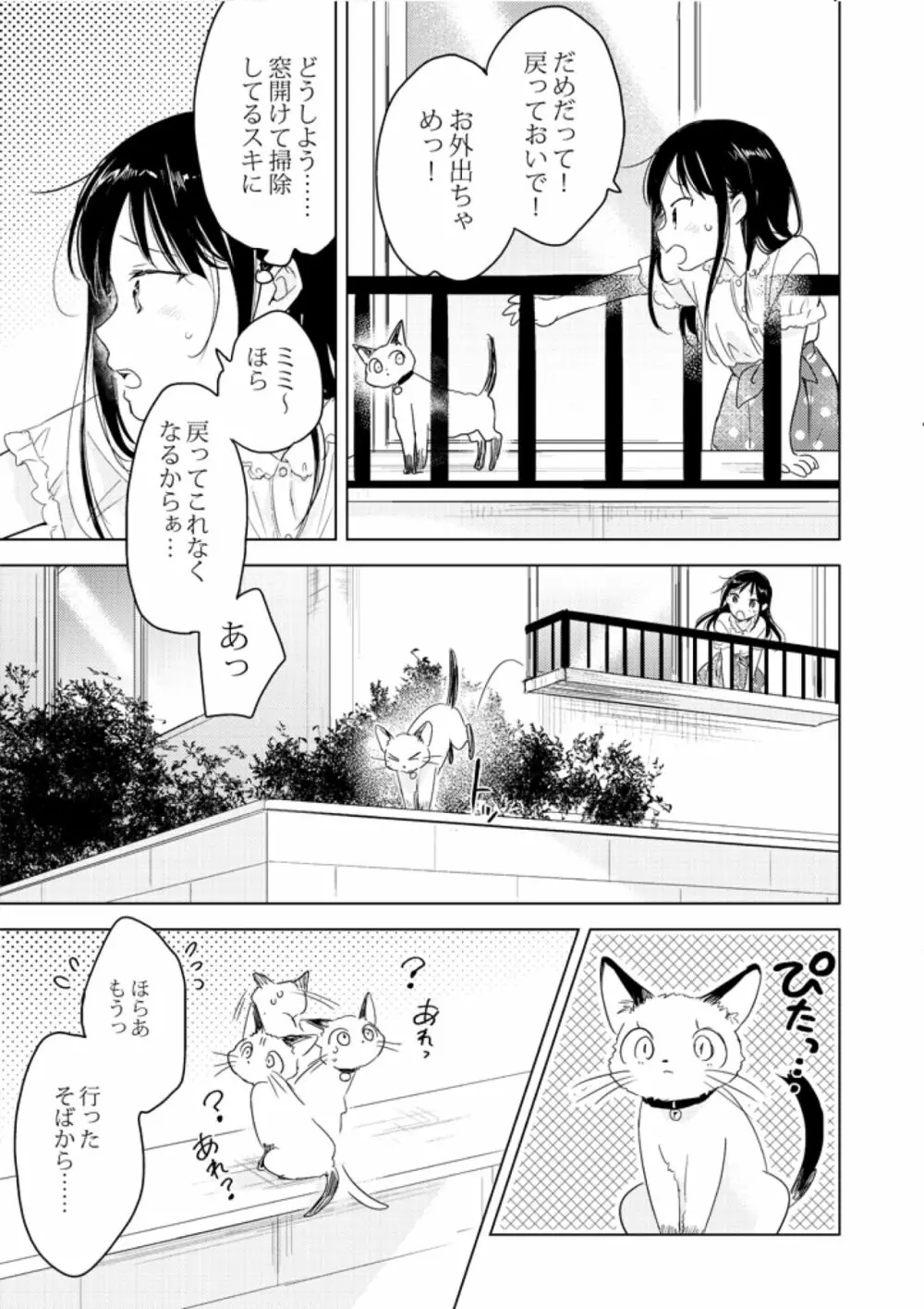 猫は恩返しなどしない。 - page7