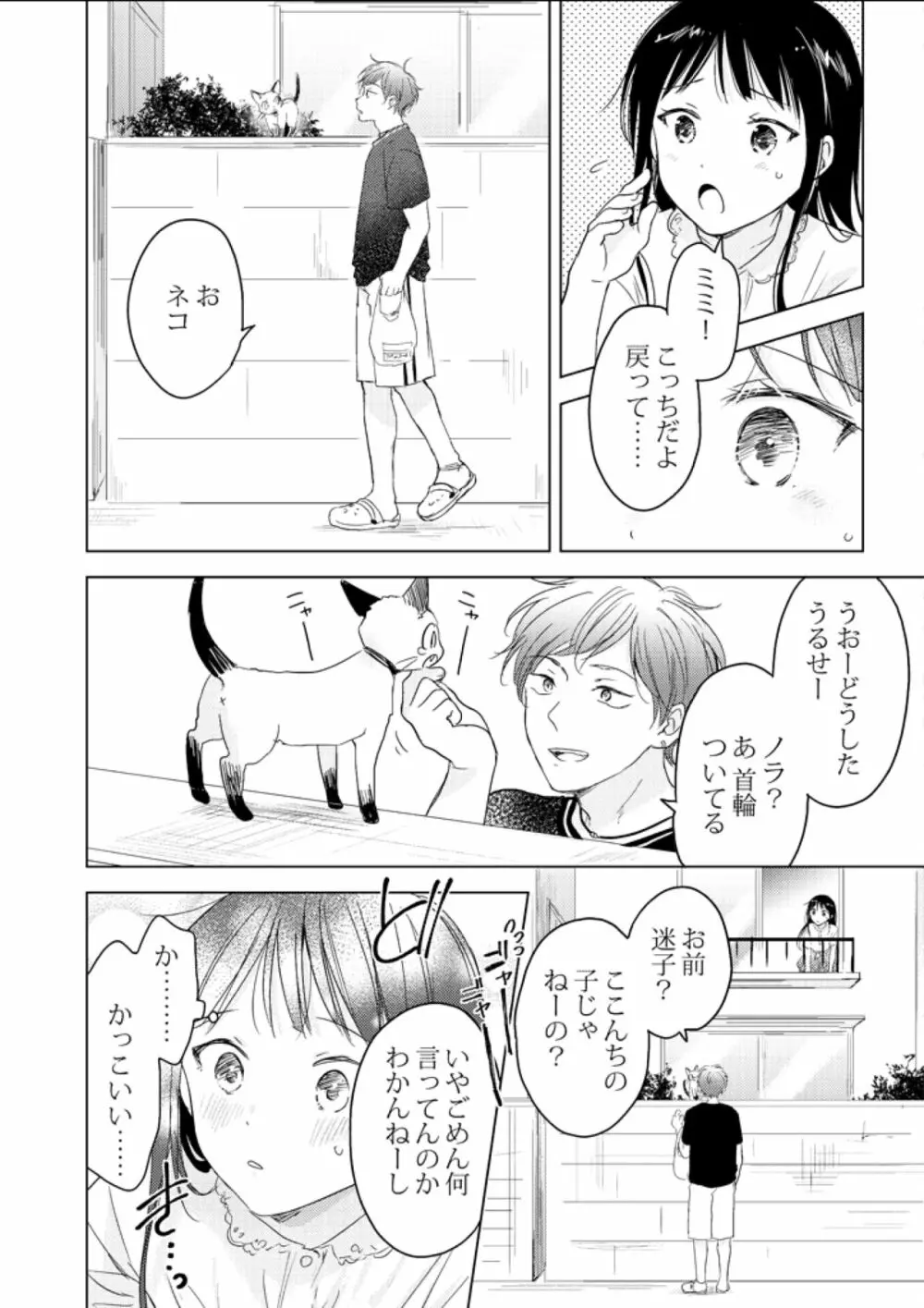 猫は恩返しなどしない。 - page8