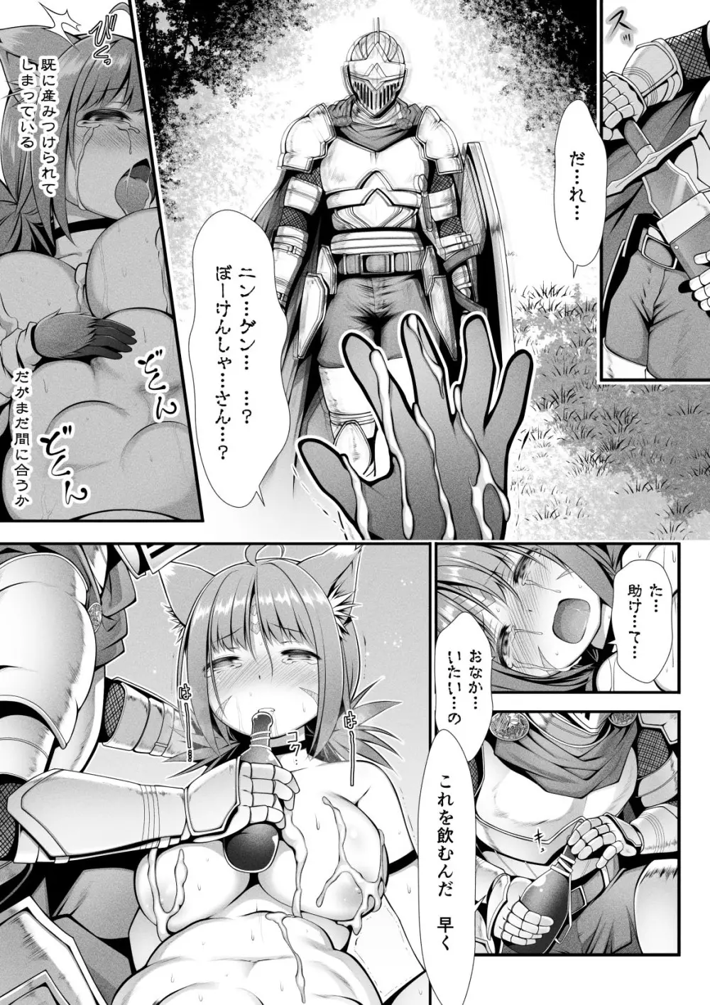 猫狩人ちゃんはぼーけんしゃにあこがれる - page18