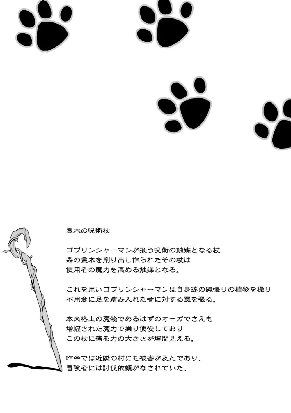 猫狩人ちゃんはぼーけんしゃにあこがれる 2 - page25