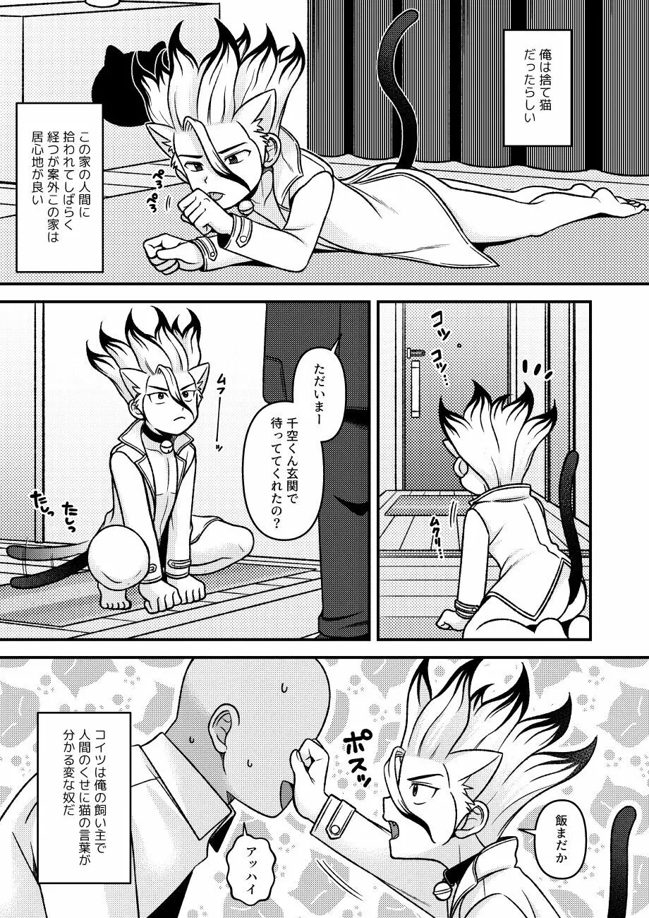 猫飼うよ - page4