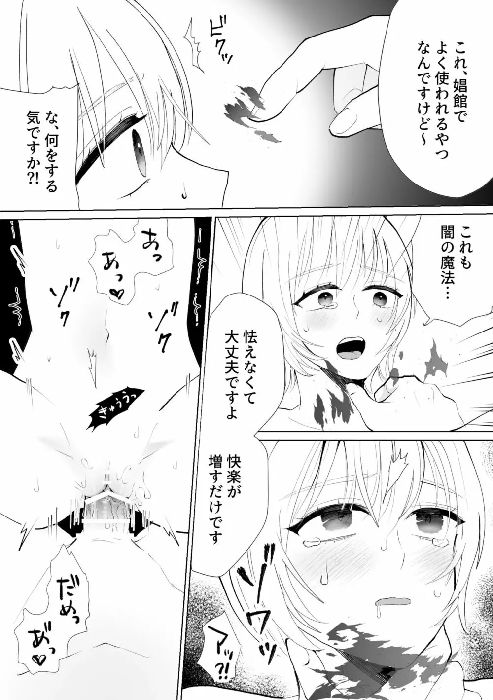 聖女なのに護衛騎士を闇堕ちさせてしまいました - page26