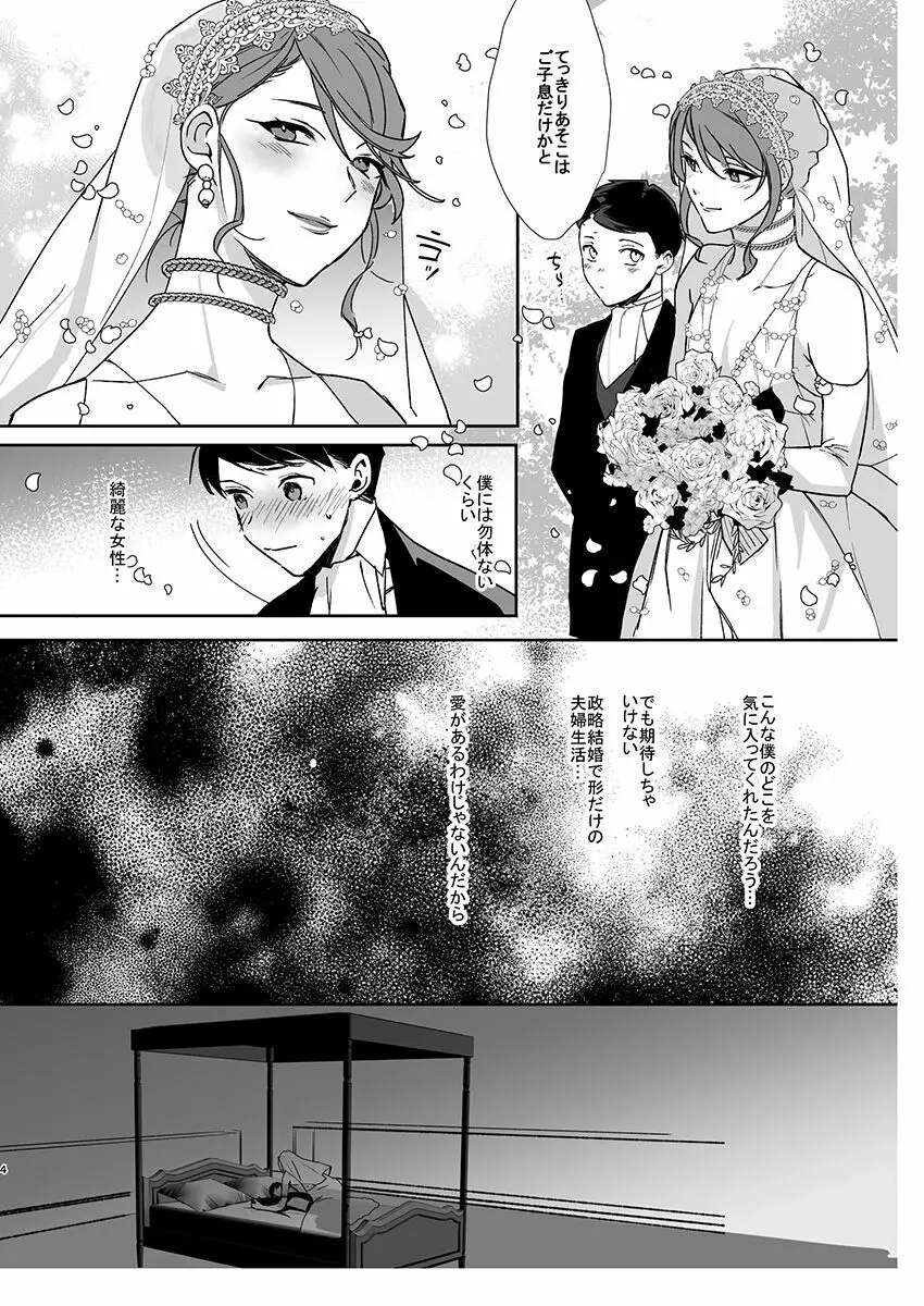 男花嫁と幼婿 - page3