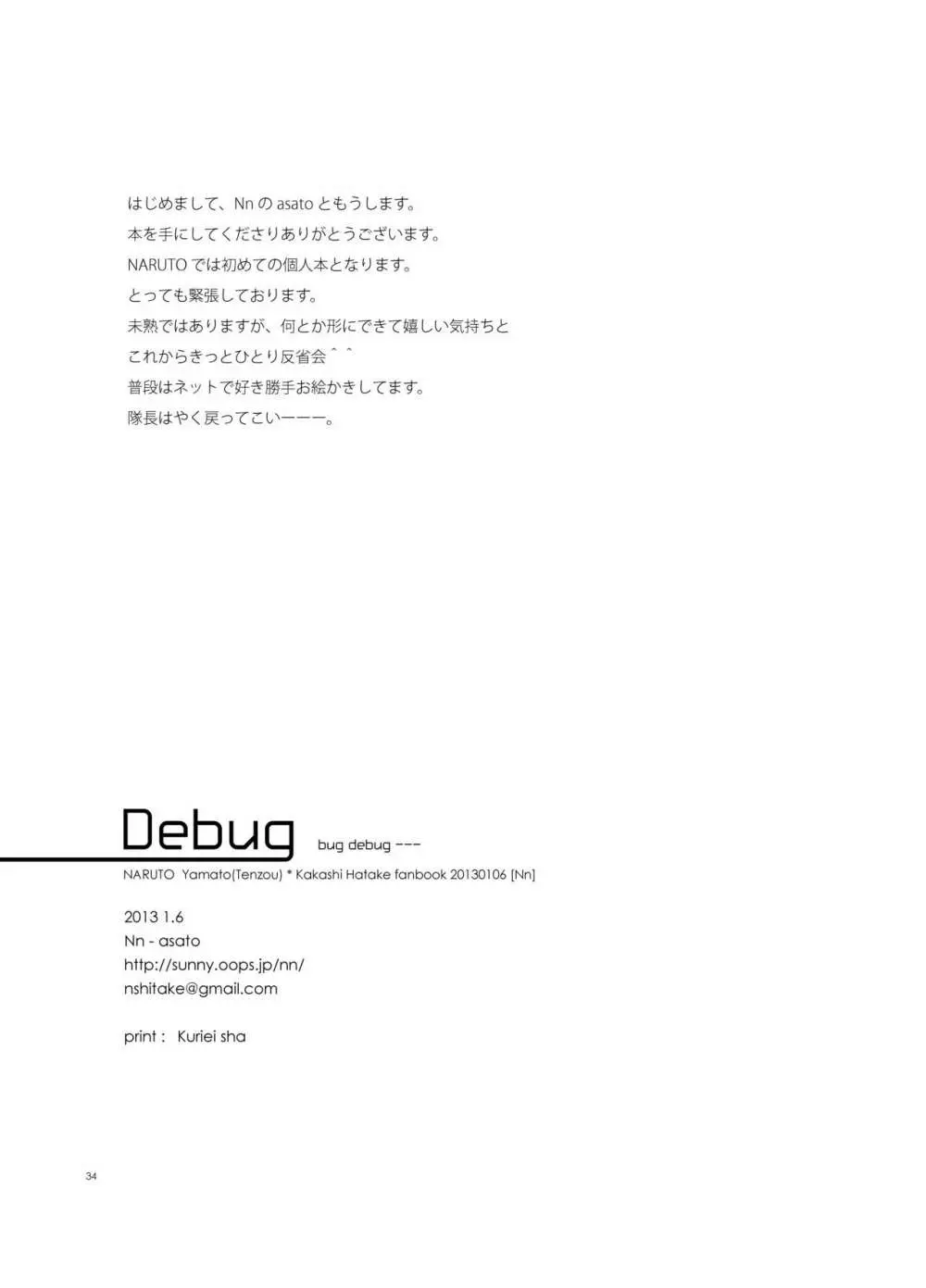 Debug - page33