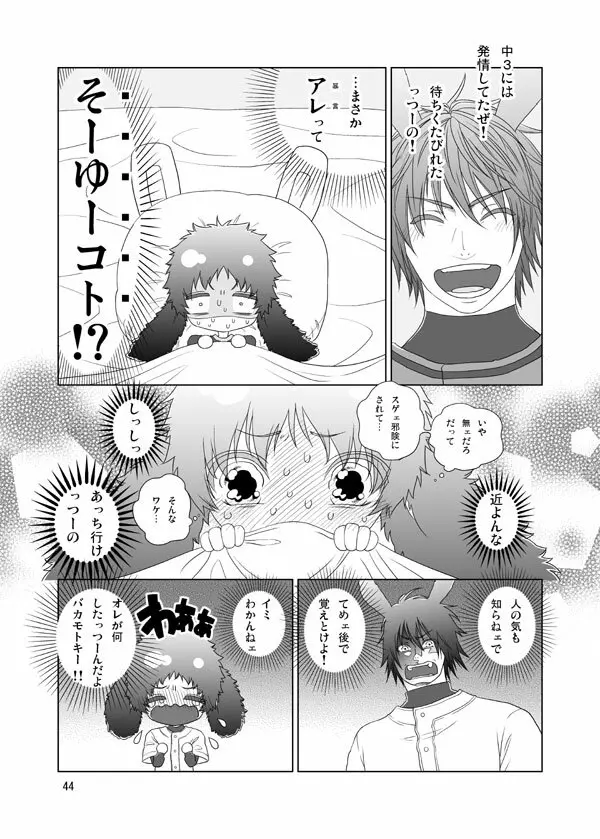 うさぎのほん - page42